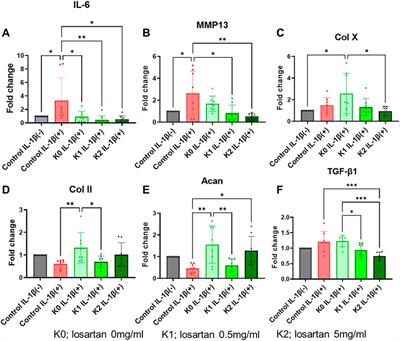 Sustained-release losartan from peptide nanofibers promotes chondrogenesis